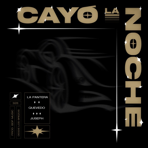 Cayó La Noche - Single album cover