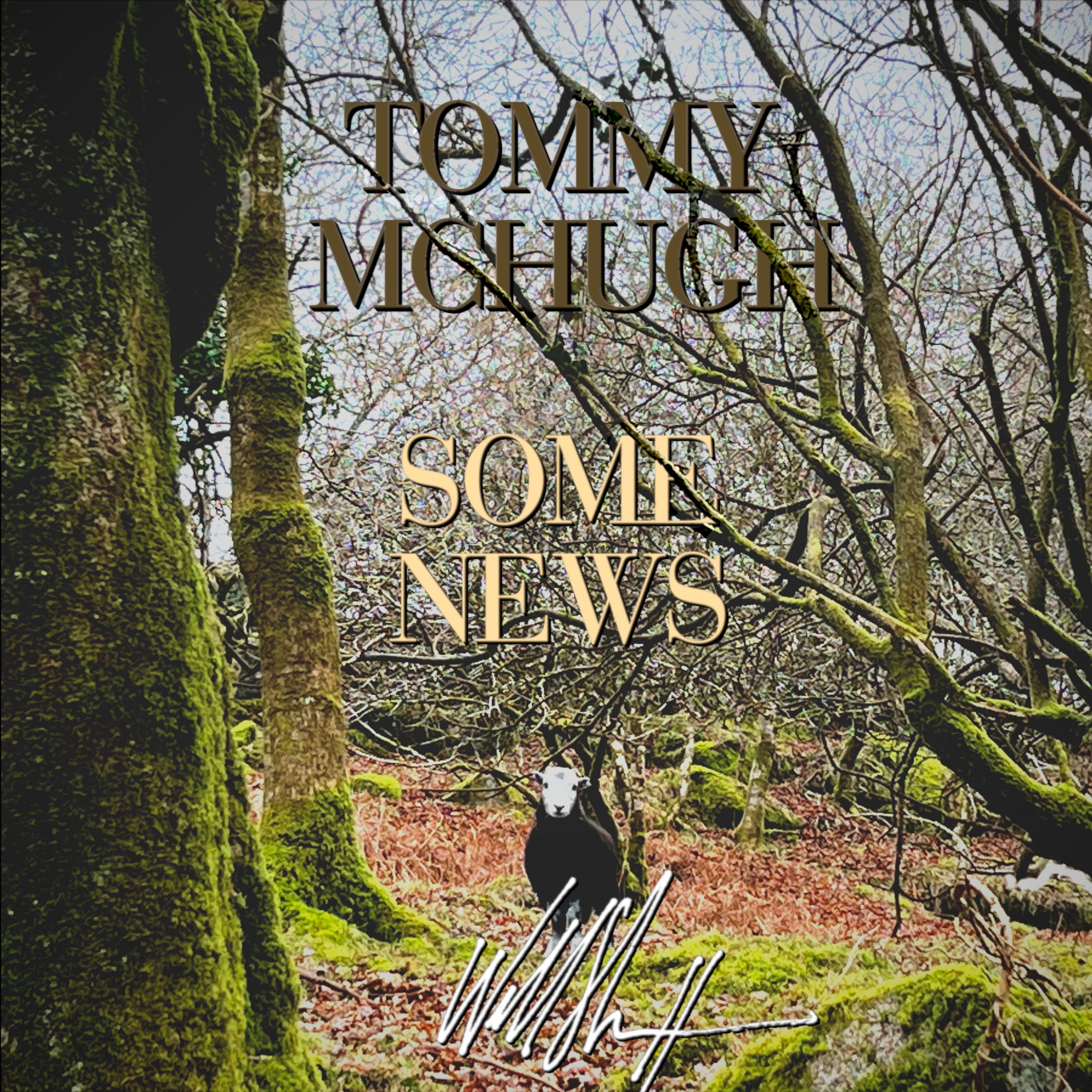 Tommy McHugh b/w Some News (feat. Okkervil River) - Single album cover