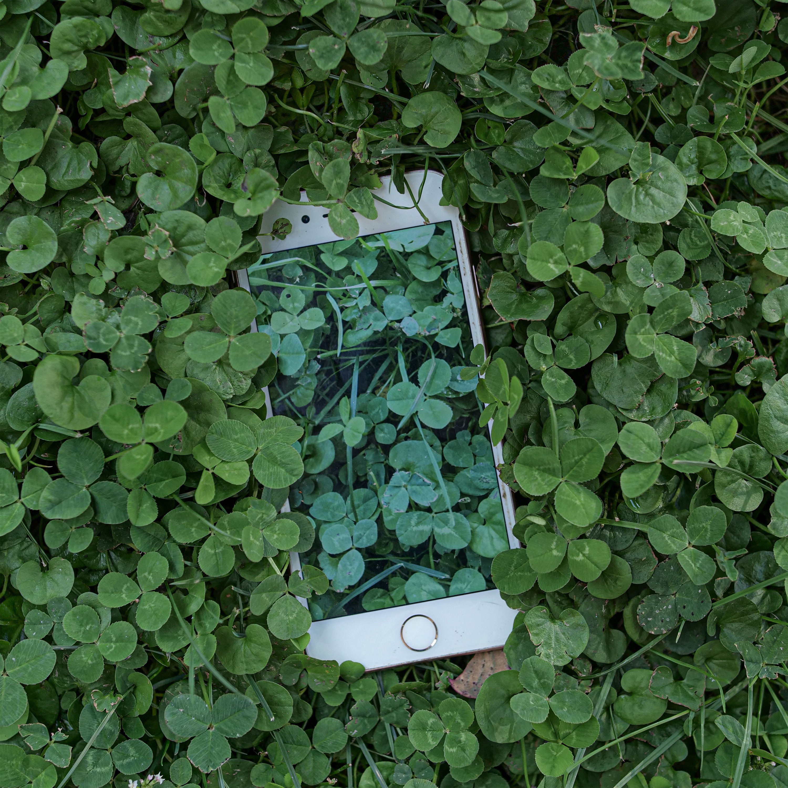 Ascension - Single album cover