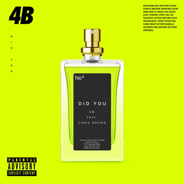 Did You (feat. Chris Brown) - Single album cover