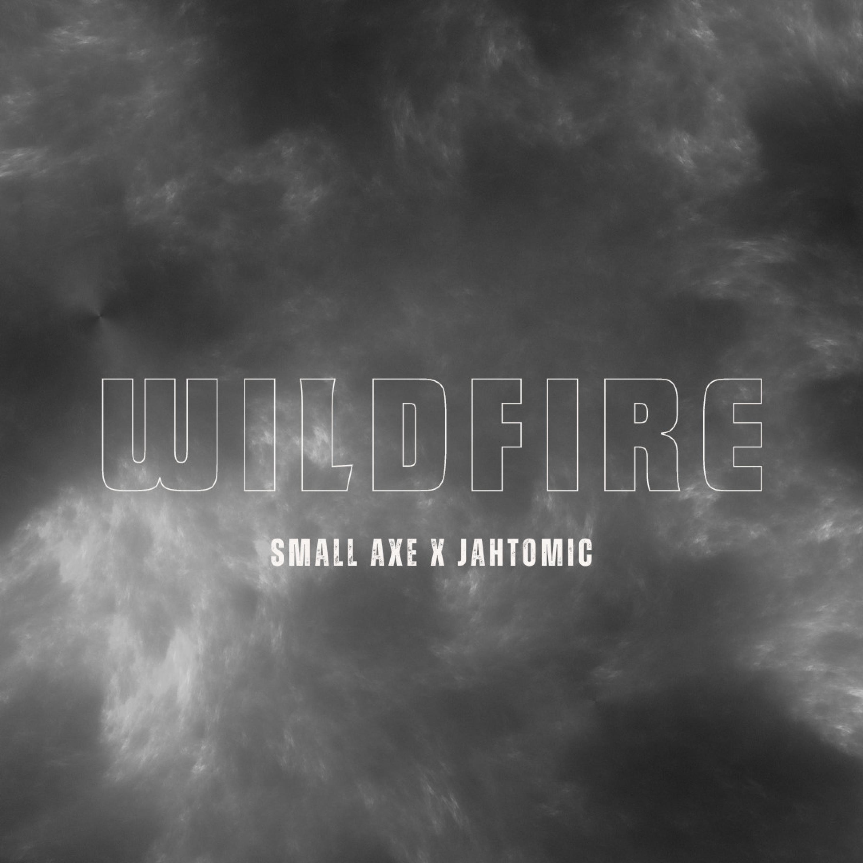 Wildfire - Single album cover