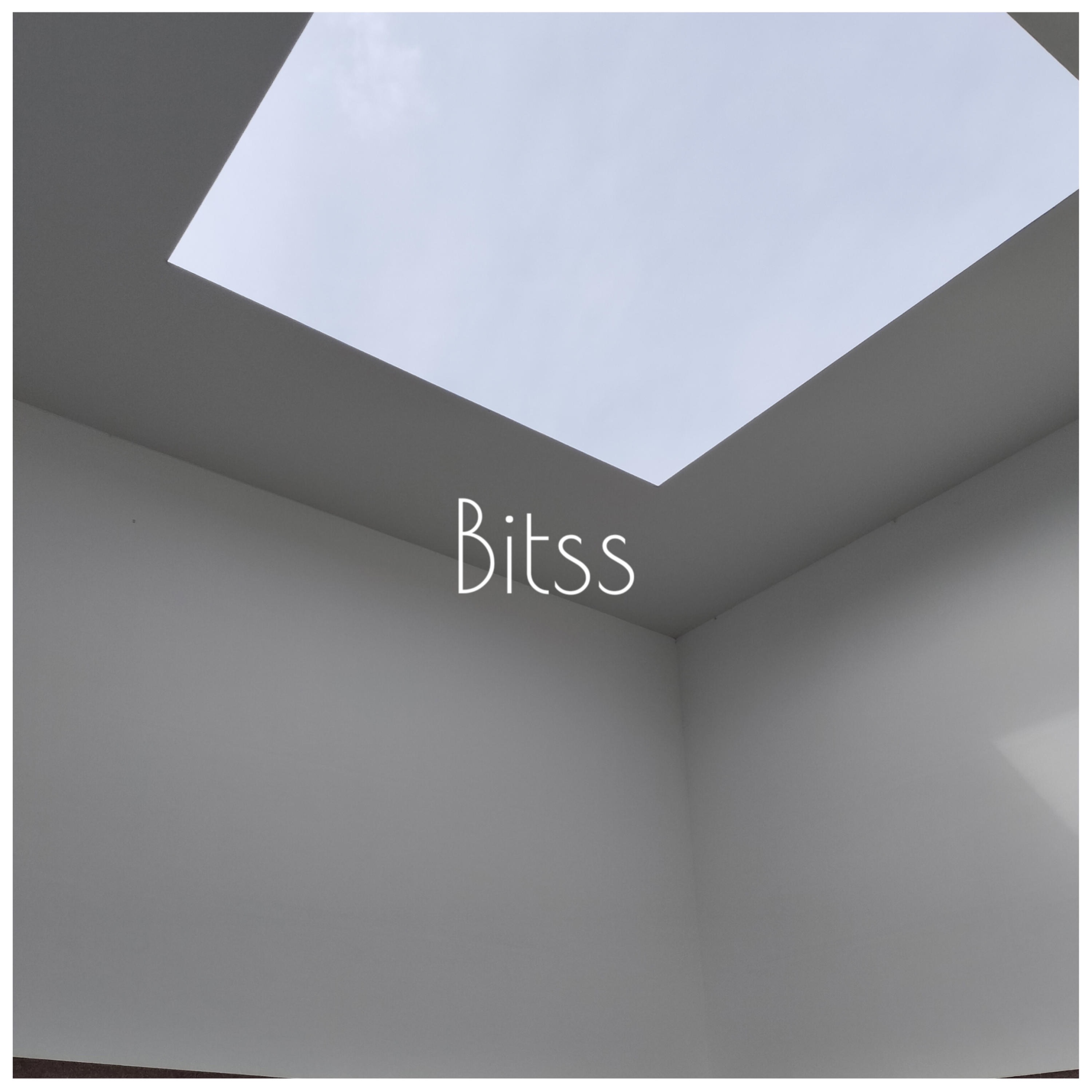Bitss album cover