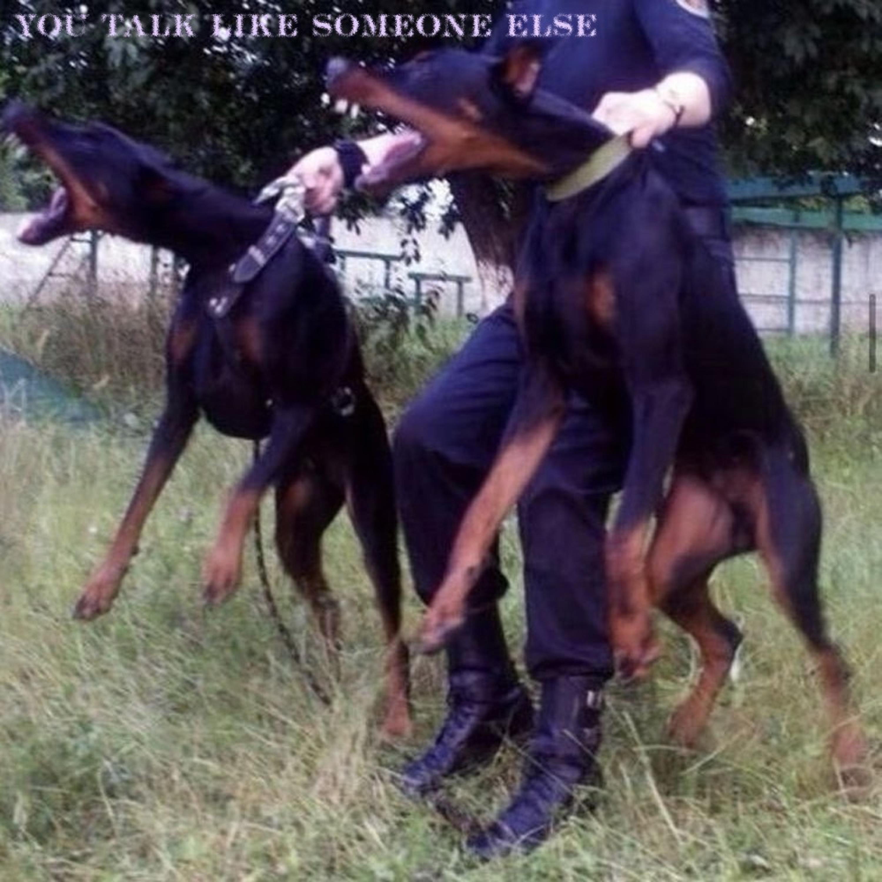You Talk Like Someone Else - Single album cover