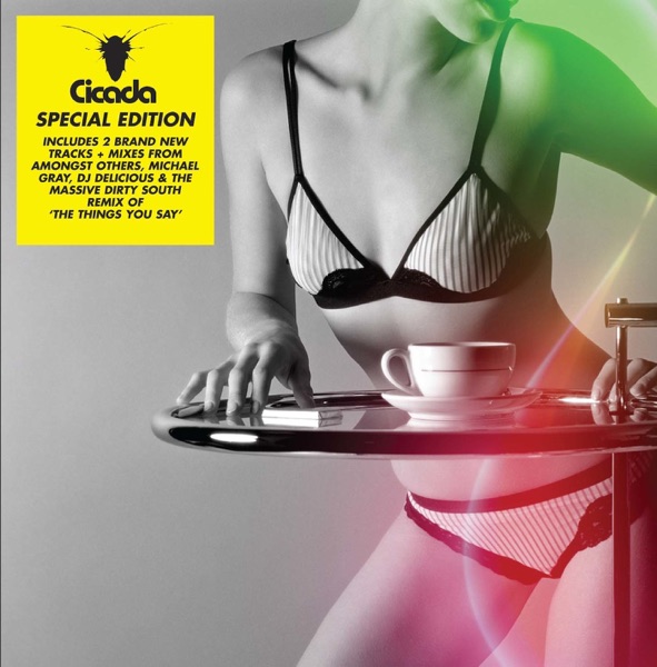 Cicada (Special Edition) album cover