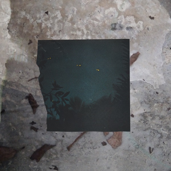 Wait and Bleed - Single album cover