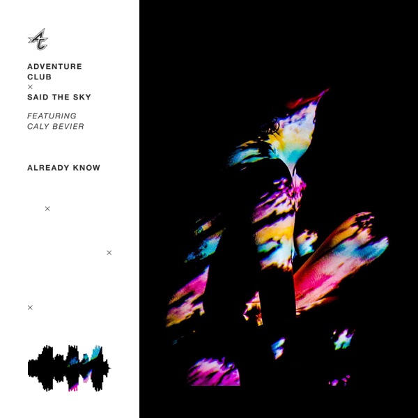 Already Know (feat. Caly Bevier) - Single album cover