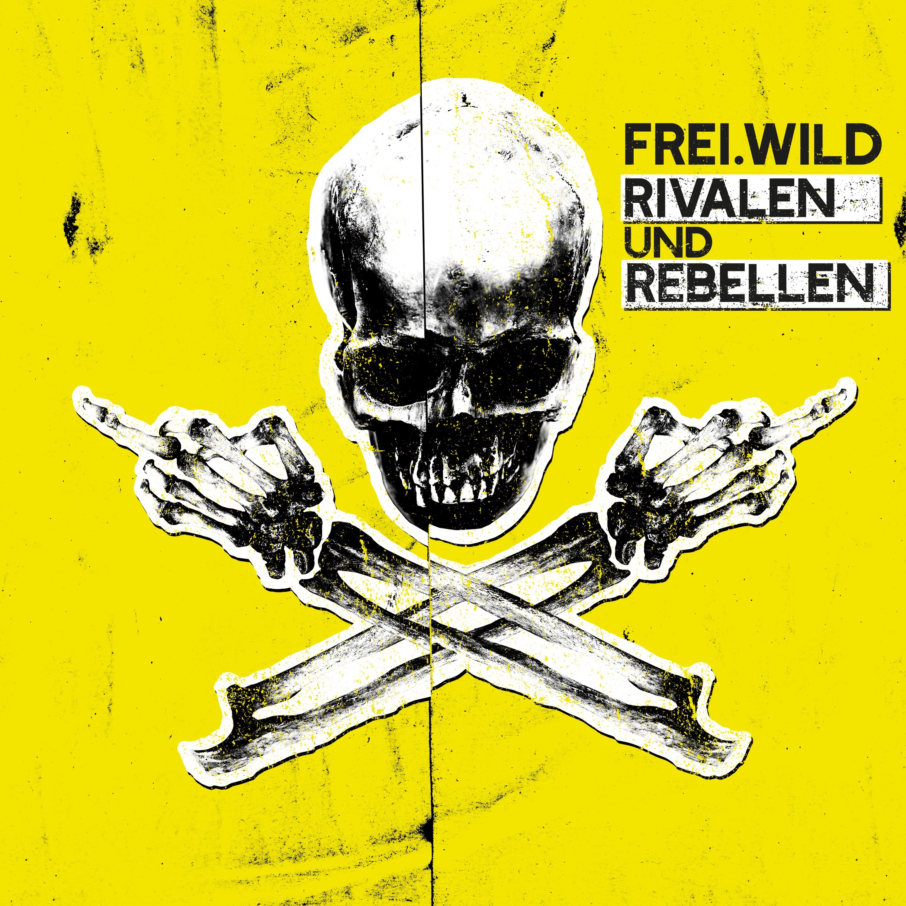 Rivalen und Rebellen album cover