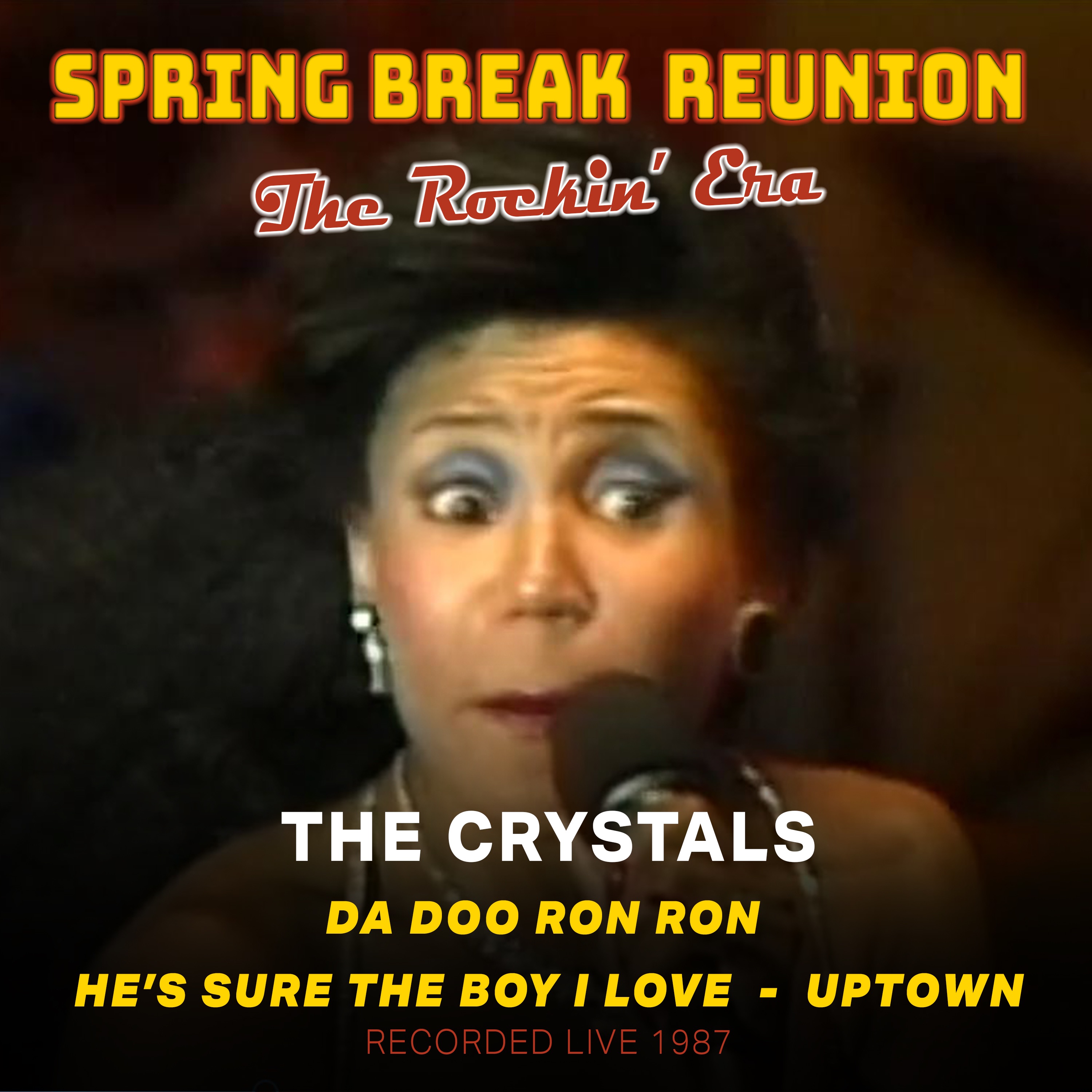 Spring Break Reunion: The Rockin' Era - Live - Single album cover