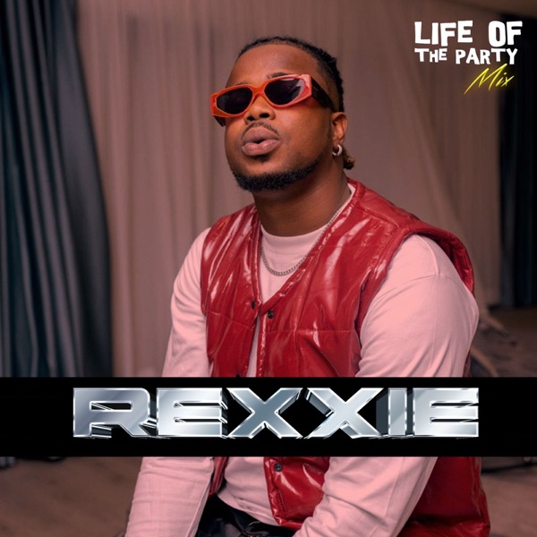 Life of The Party Mix: Rexxie, Big Vibe Vol. II (DJ Mix) album cover