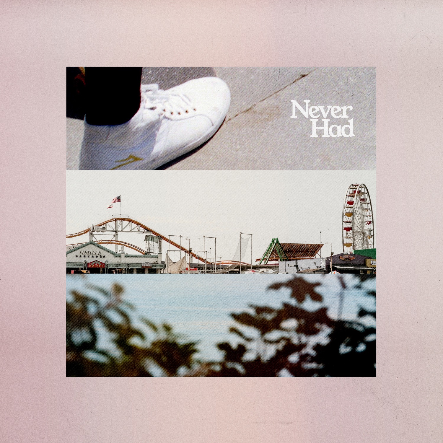 Never Had - Single album cover