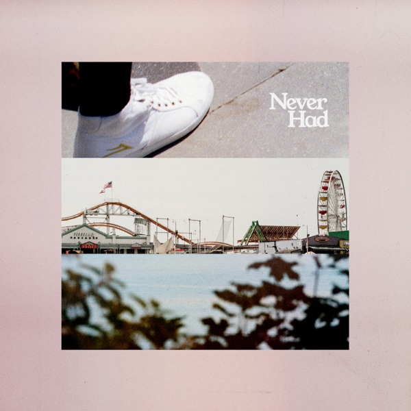 Never Had - Single album cover