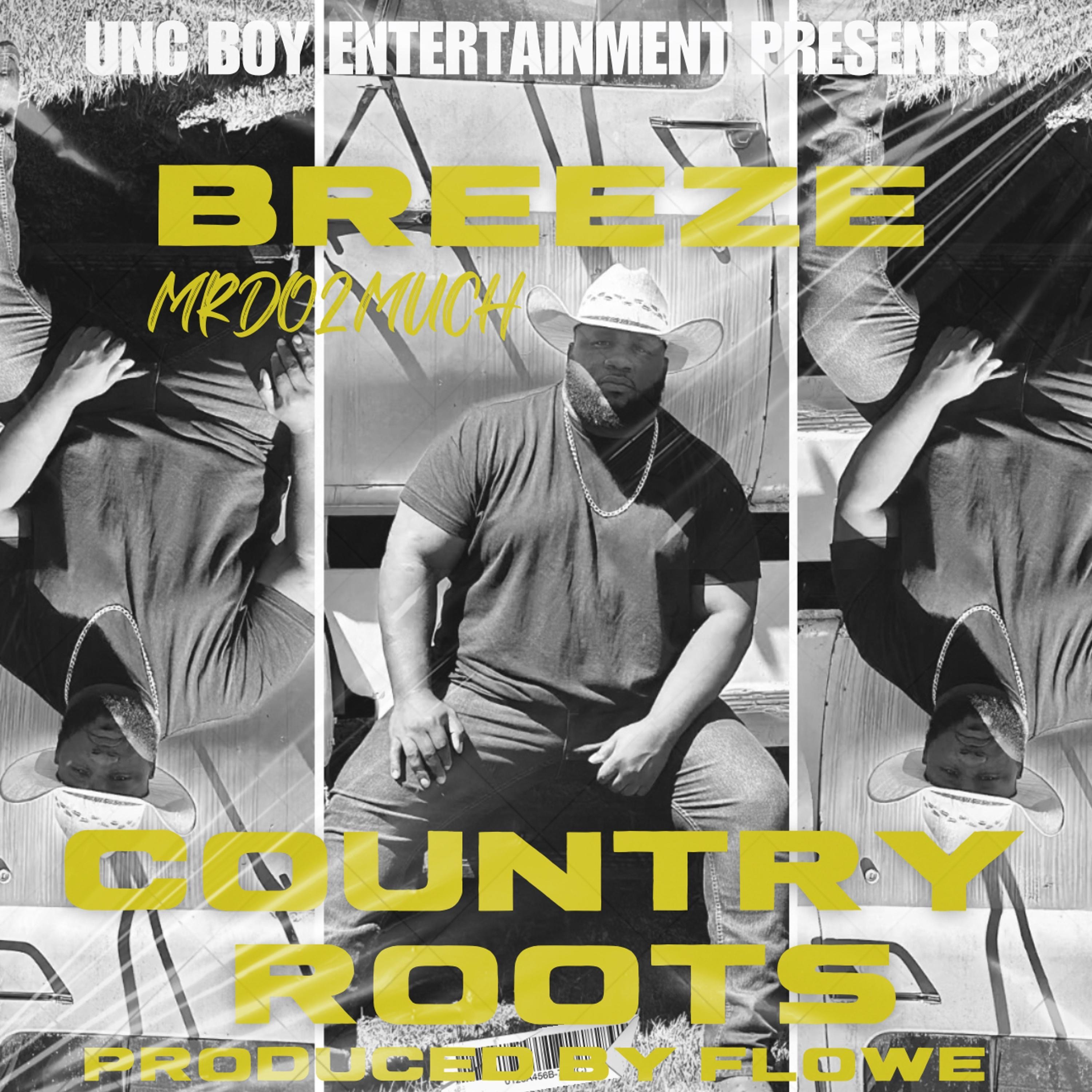 Country Roots - Single album cover