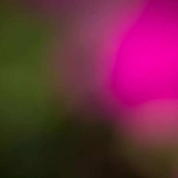 Blur From Clarity - Single album cover