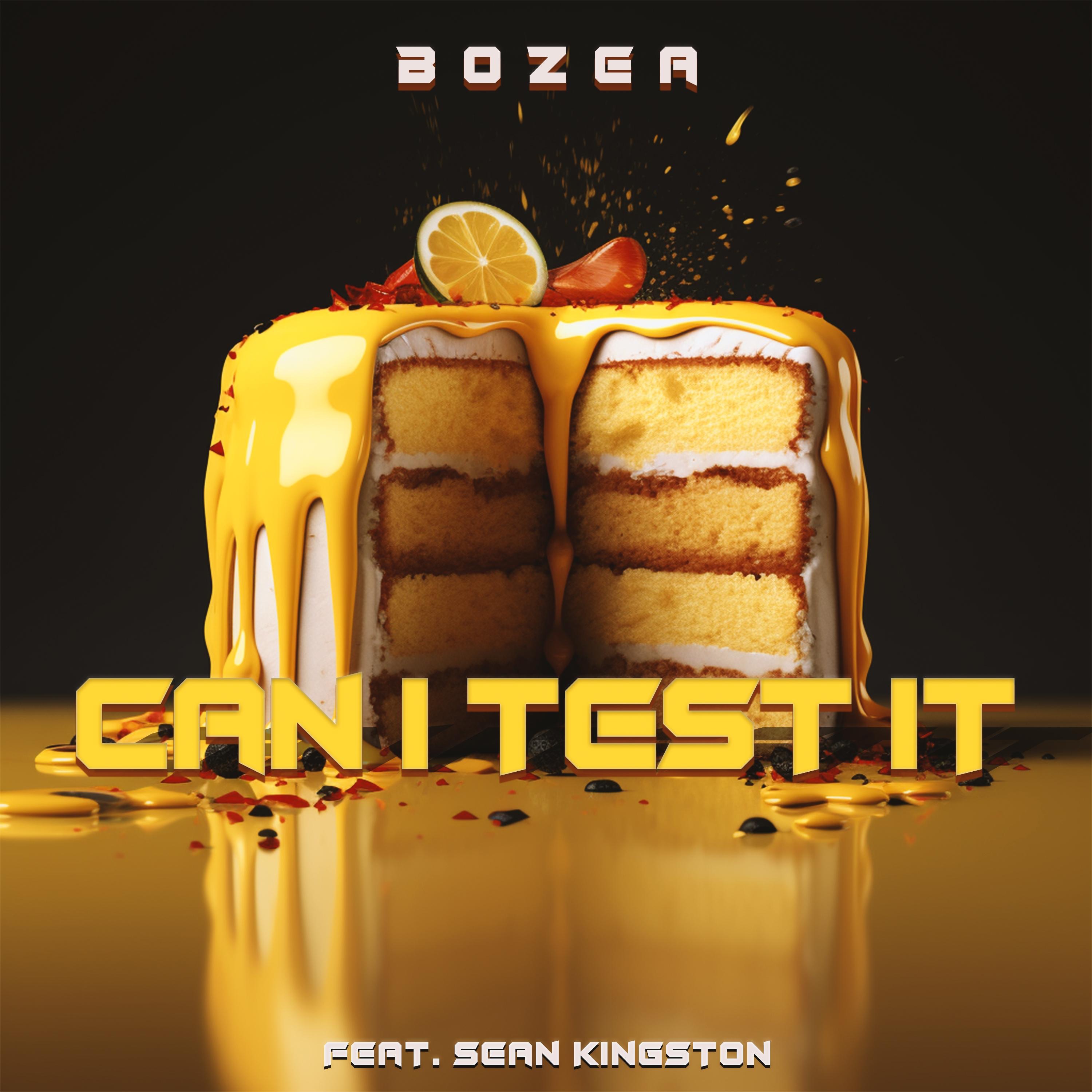 Can I Test It (feat. Sean Kingston) - Single album cover