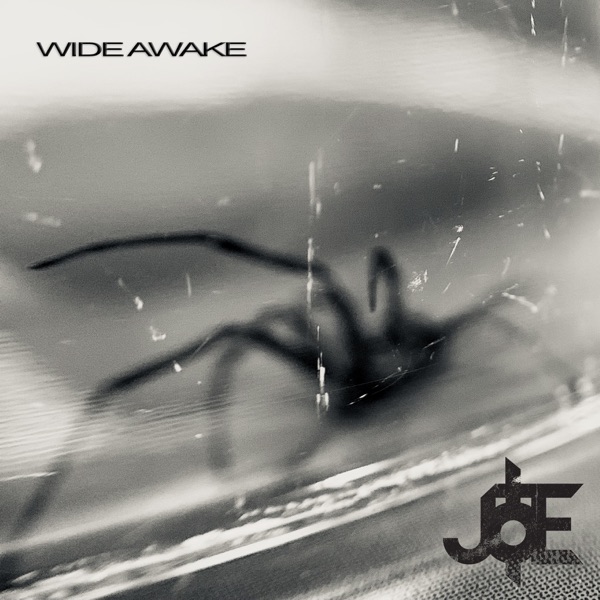 Wide Awake - Single album cover