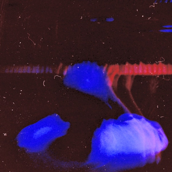 Omara - Single album cover