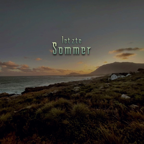 letzte Sommer (feat. Collin) - Single album cover
