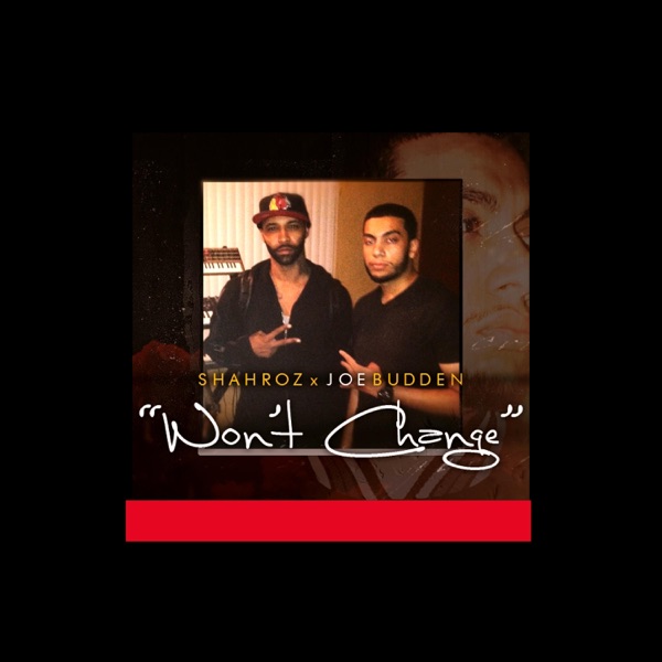 Won't Change (feat. Joe Budden) - Single album cover