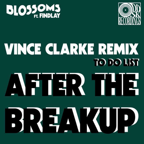 To Do List (After The Breakup) [feat. Findlay] [Vince Clarke Remix] - Single album cover