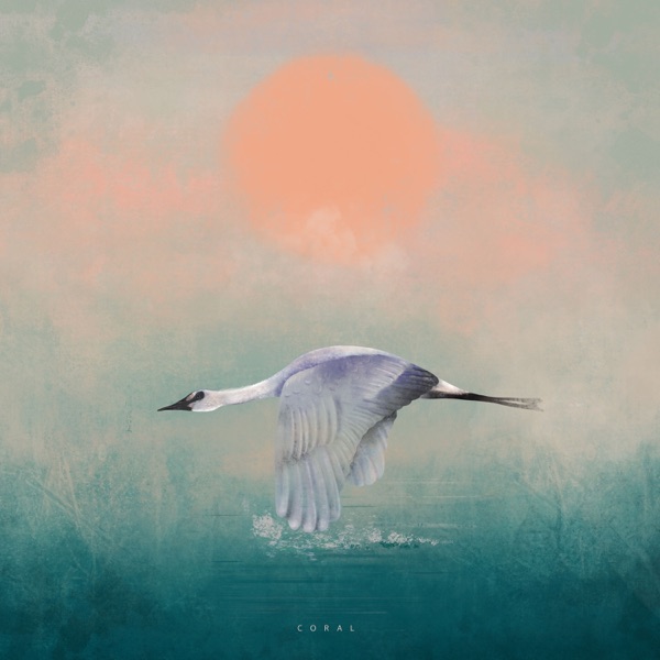 Coral - Single album cover