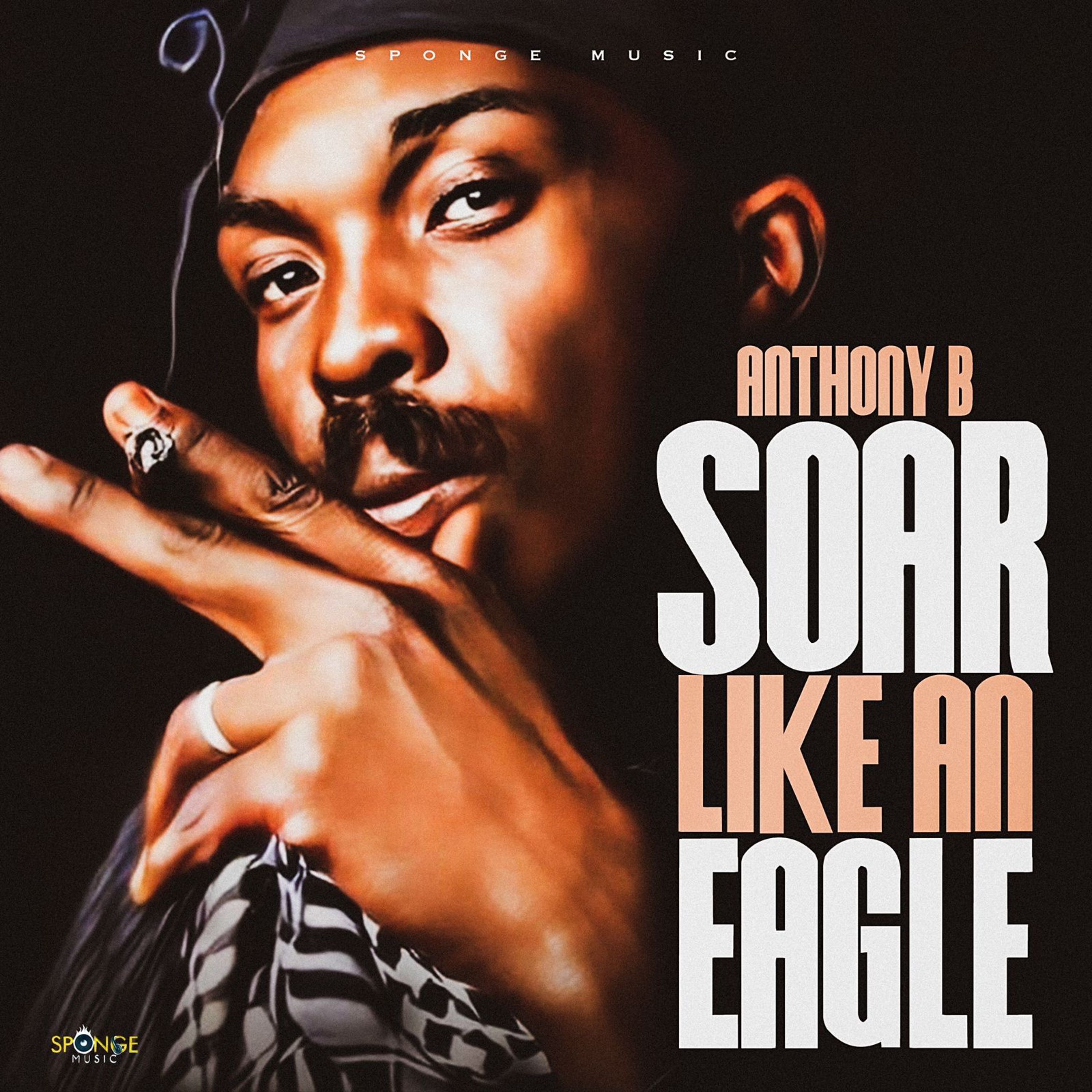 Soar Like an Eagle - Single album cover