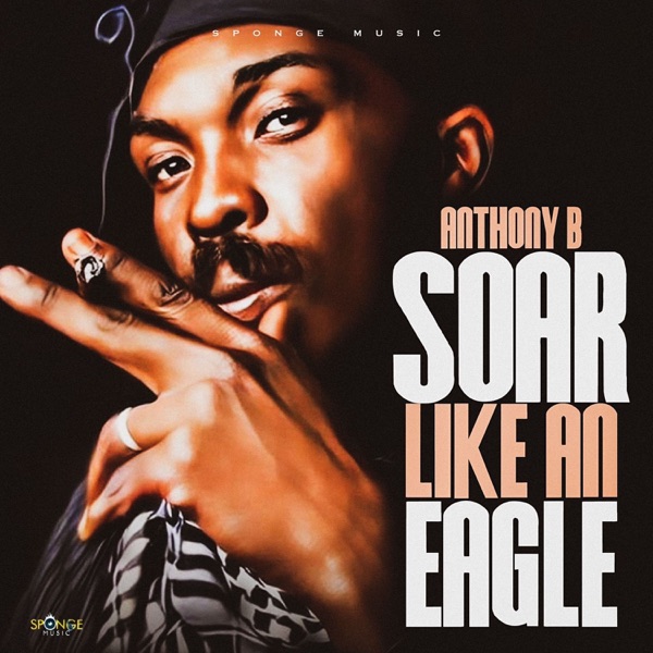 Soar Like an Eagle - Single album cover