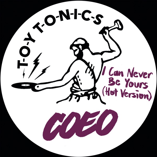 I Can Never Be Yours (Hot Version) - Single album cover