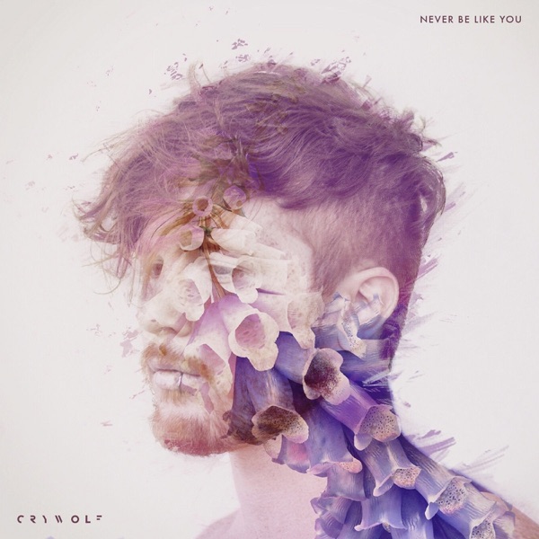 Never Be LIke You - Single album cover