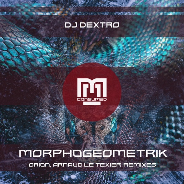 Morphogeometrik Remixes - Single album cover