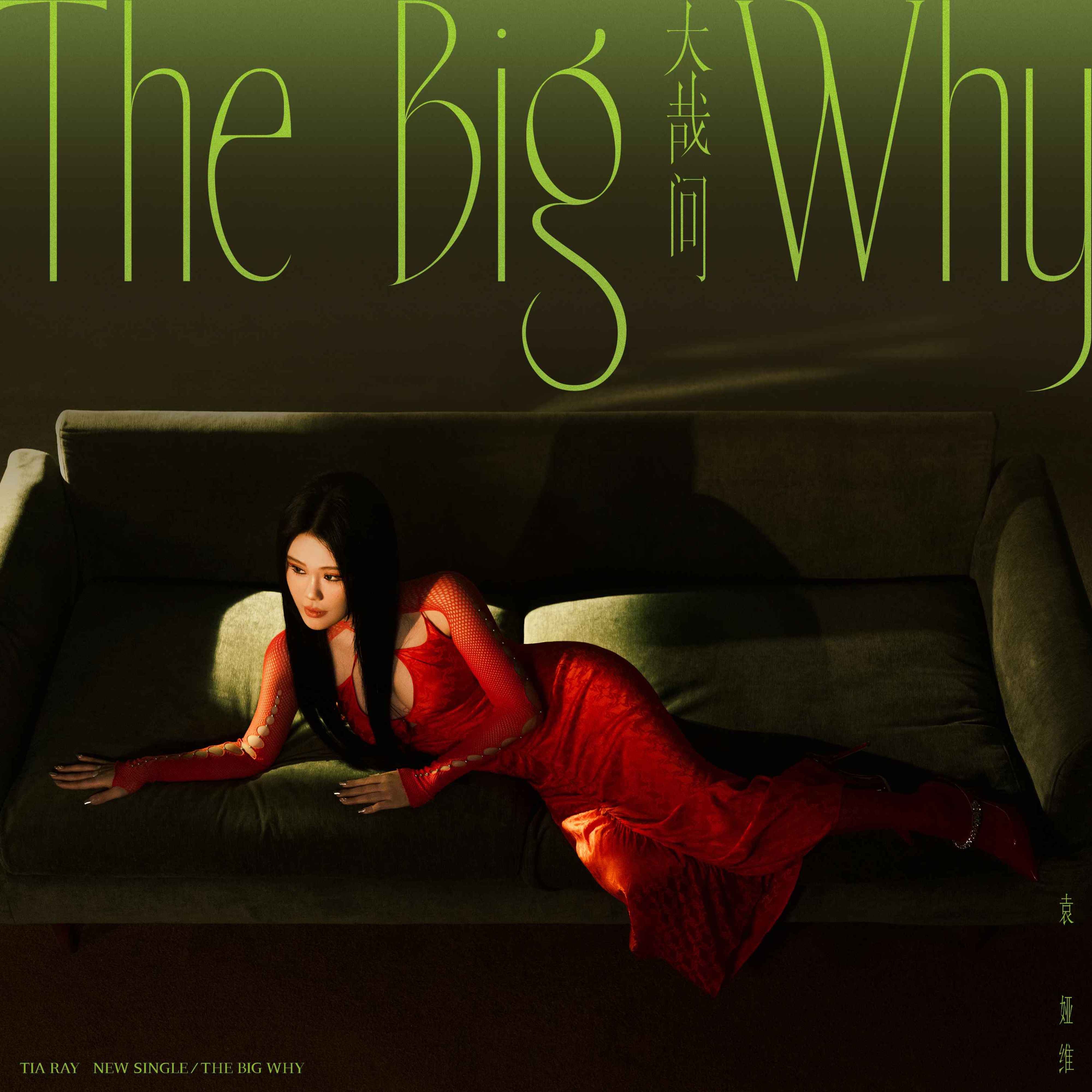 THE BIG WHY - Single album cover