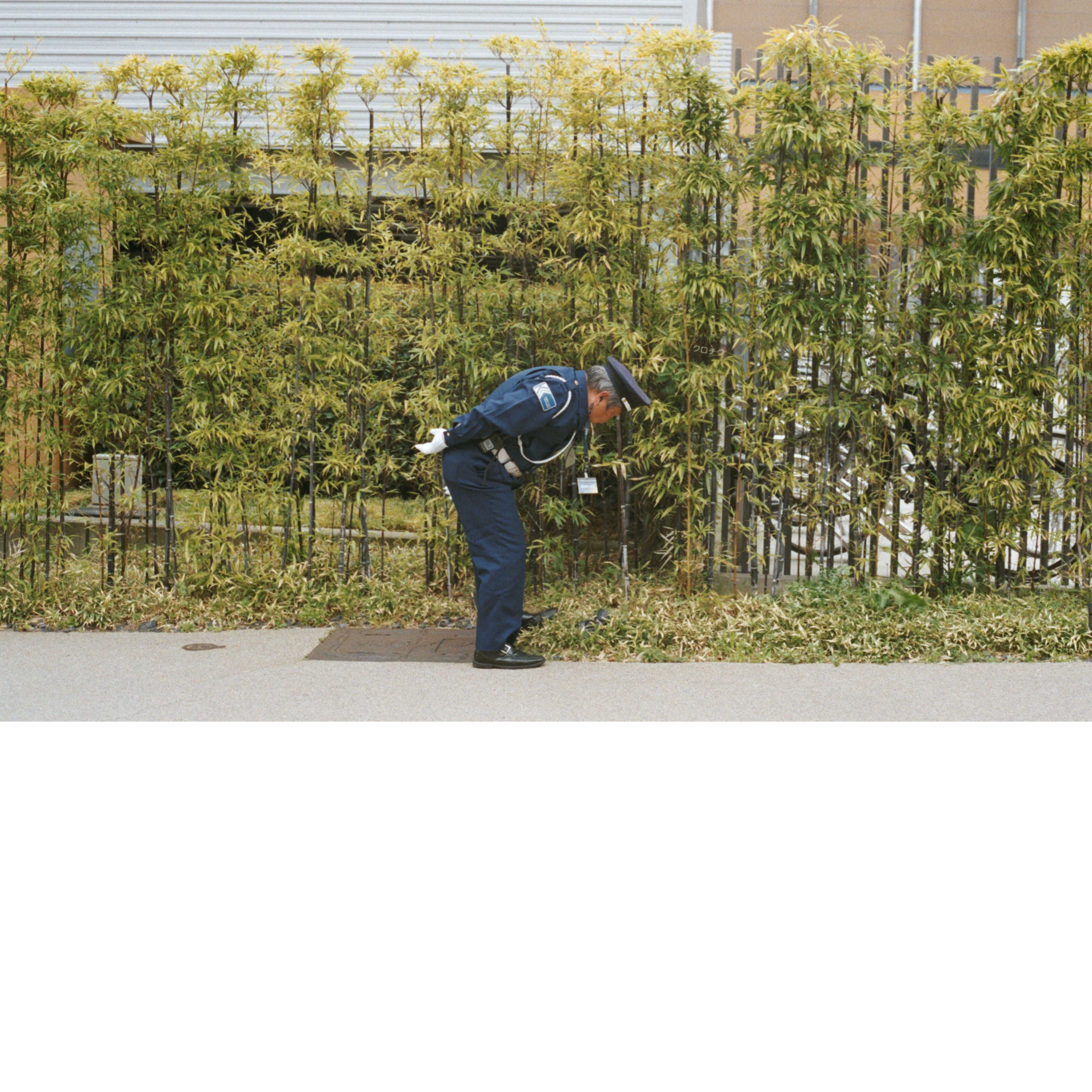 Good Luck and Do Your Best album cover