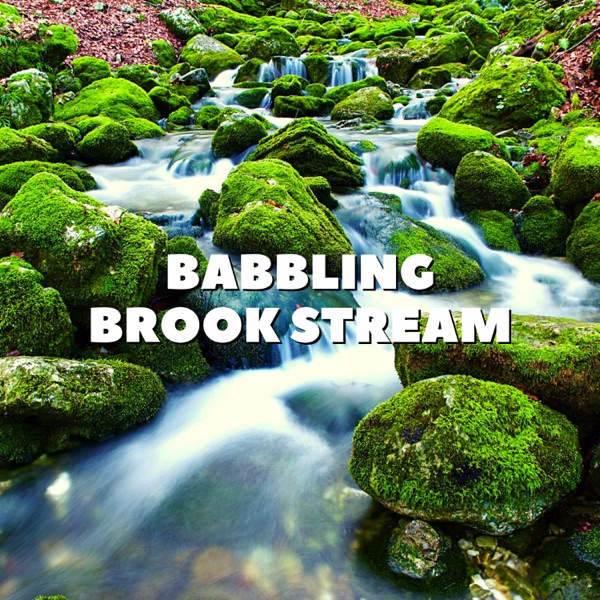 Babbling Brook Stream - EP album cover