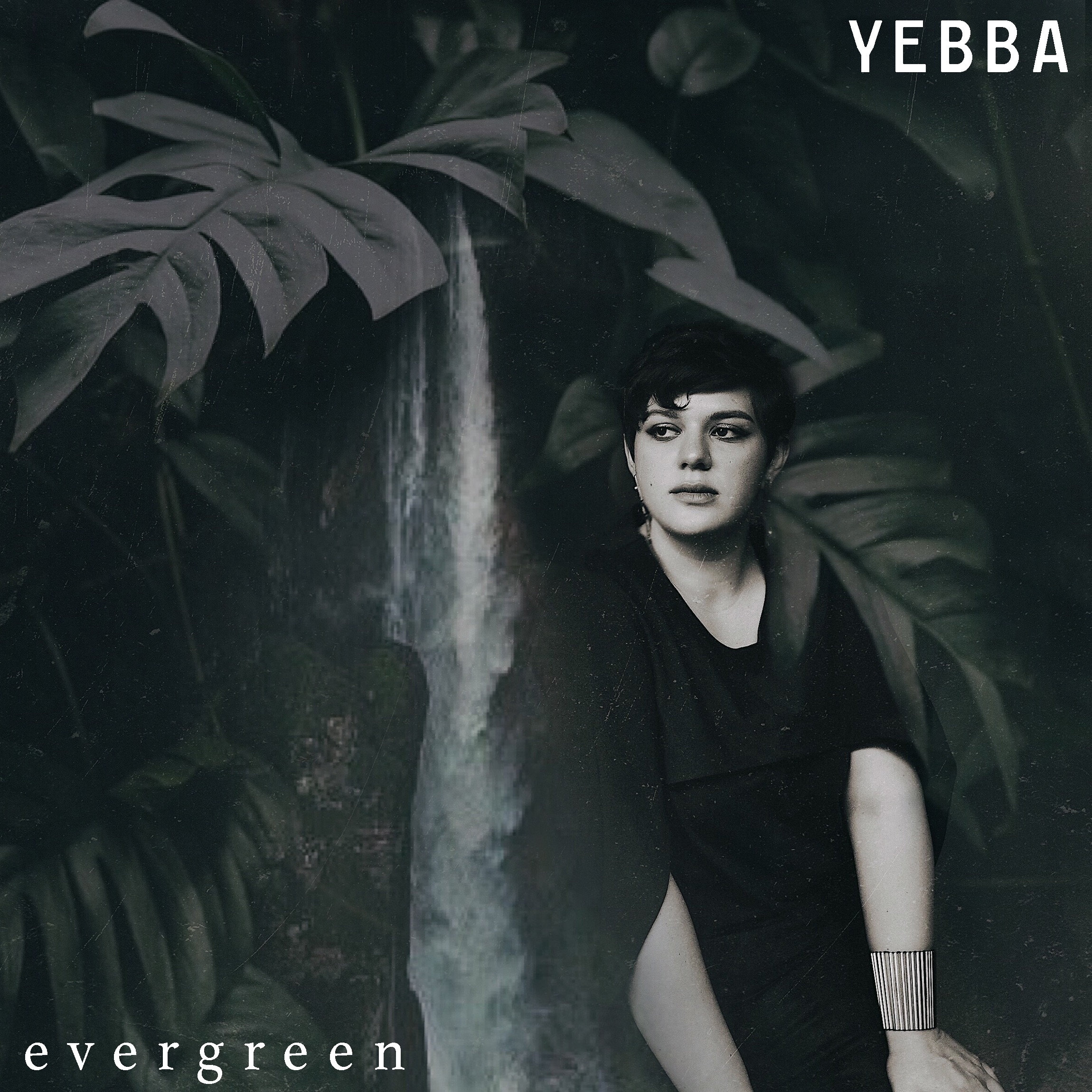Evergreen - Single album cover