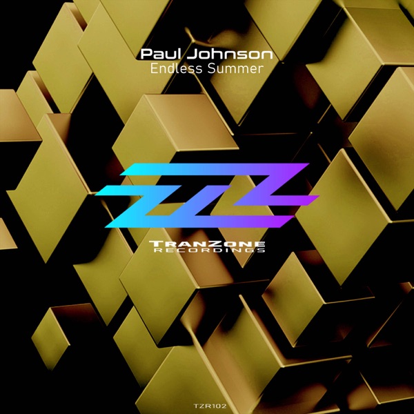 Endless Summer - Single album cover