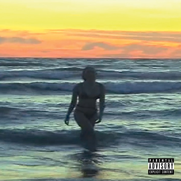 Sincer (feat. Lele Blade & Icy Subzero) - Single album cover