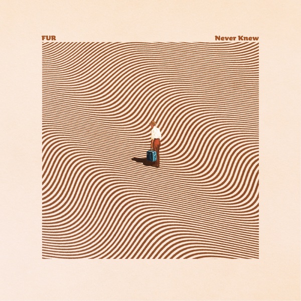Never Knew - Single album cover
