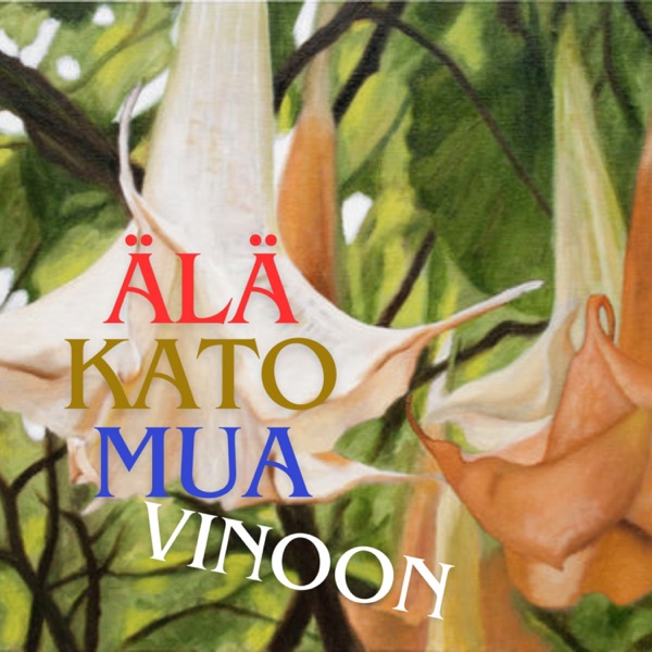 ÄLÄ KATO MUA VINOON - Single album cover