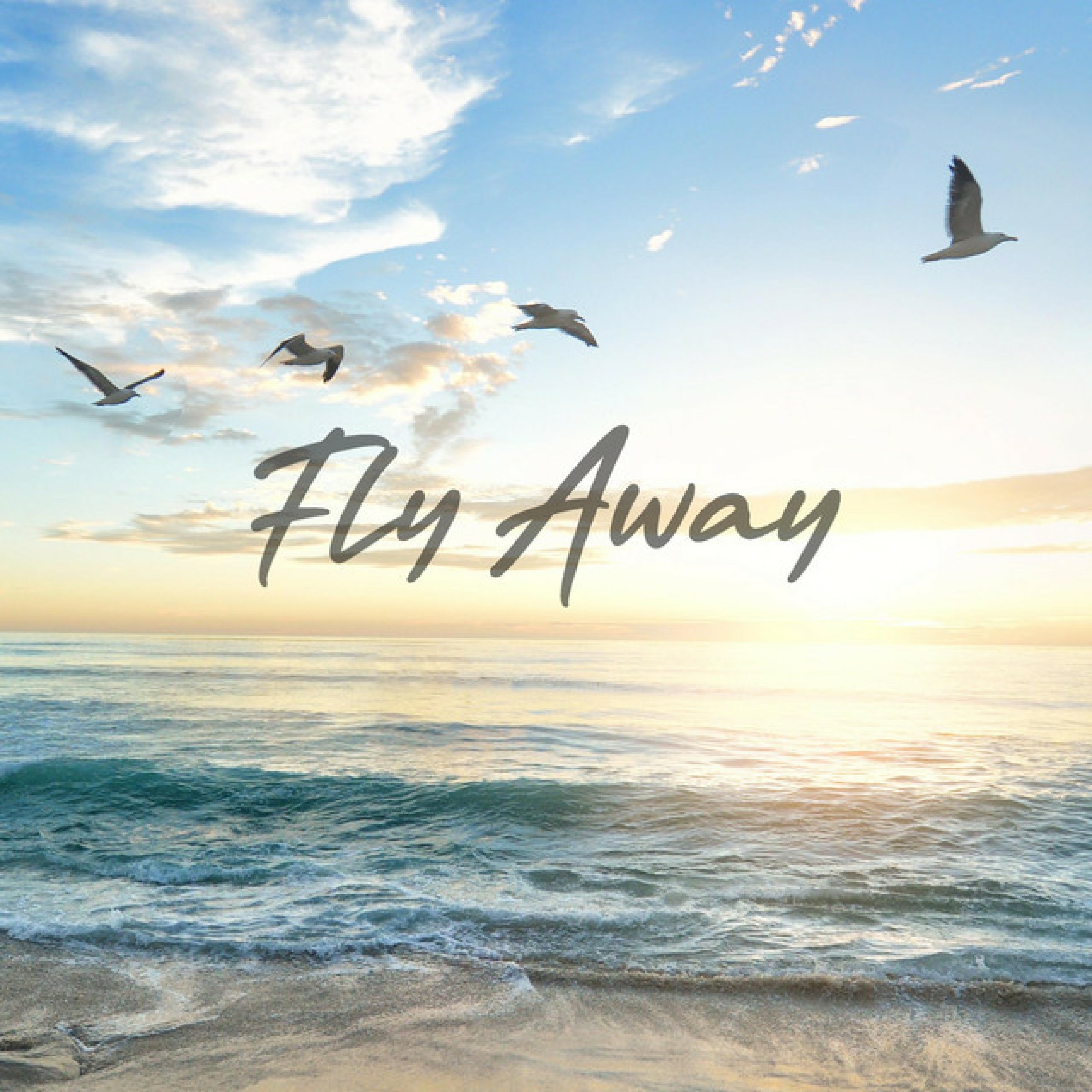 Fly Away - Single album cover