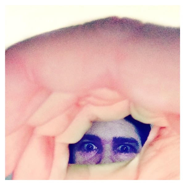 Odditties Sodomies, Volume 2 album cover