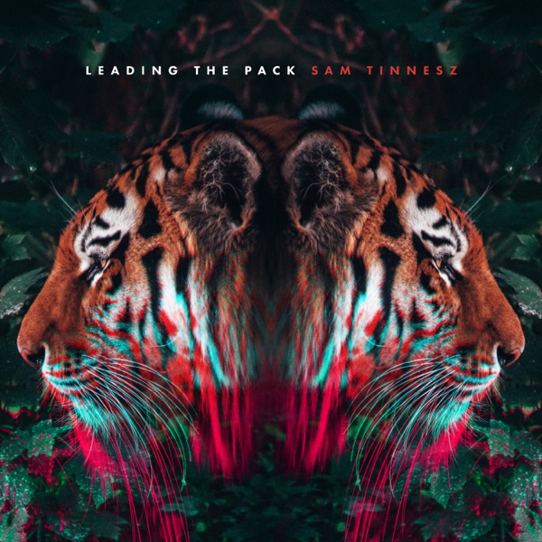 Leading the Pack - Single album cover