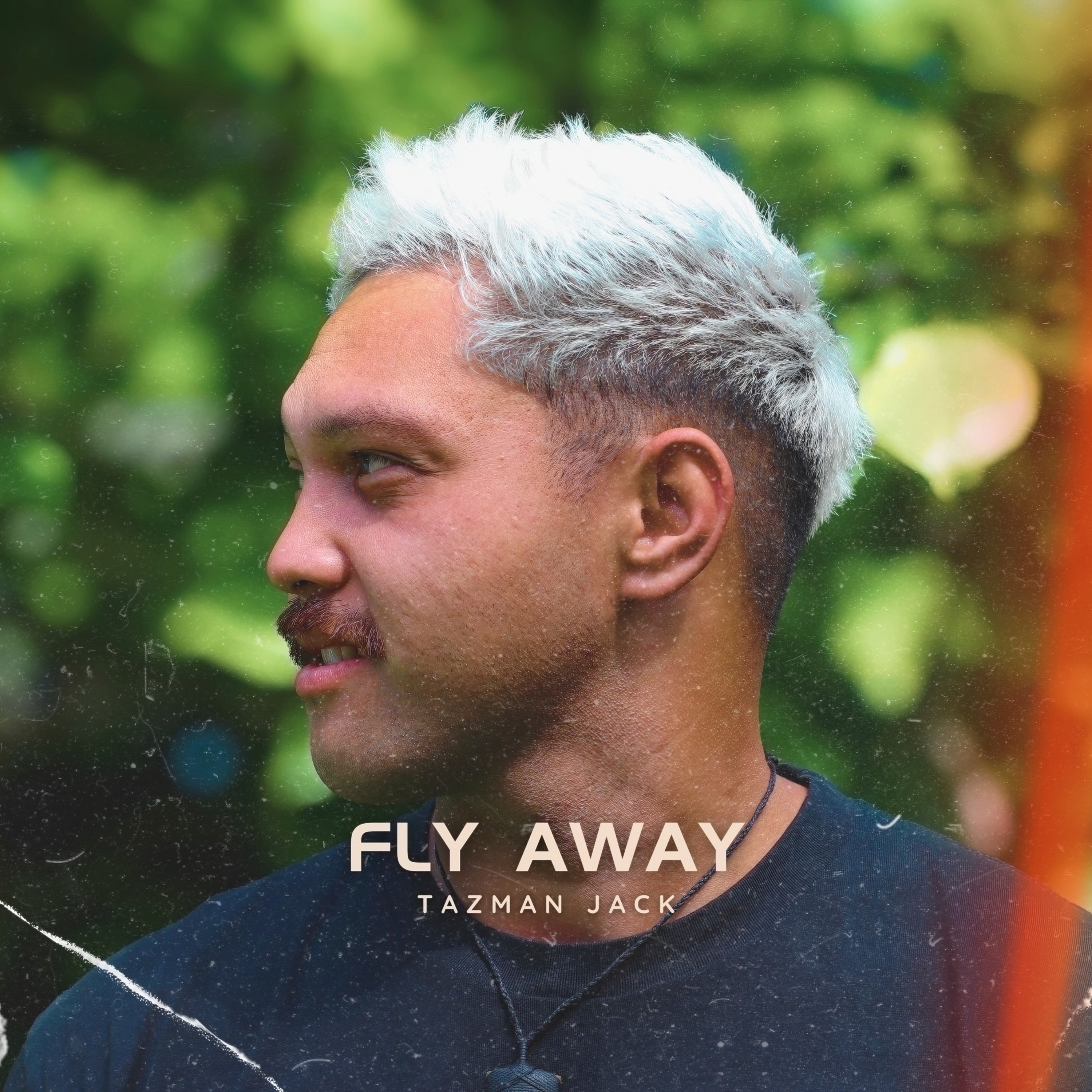 Fly Away - Single album cover