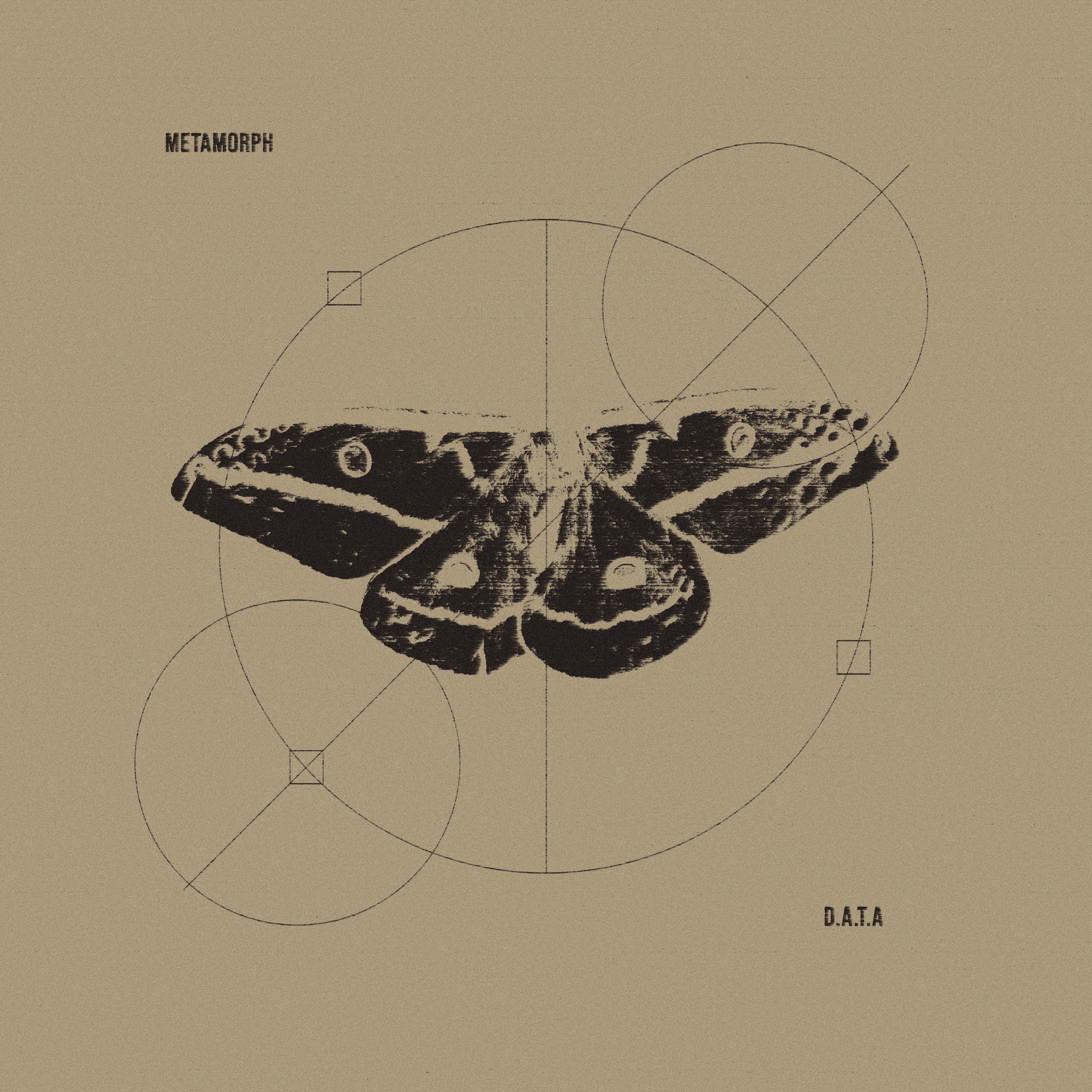 Metamorph - Single album cover