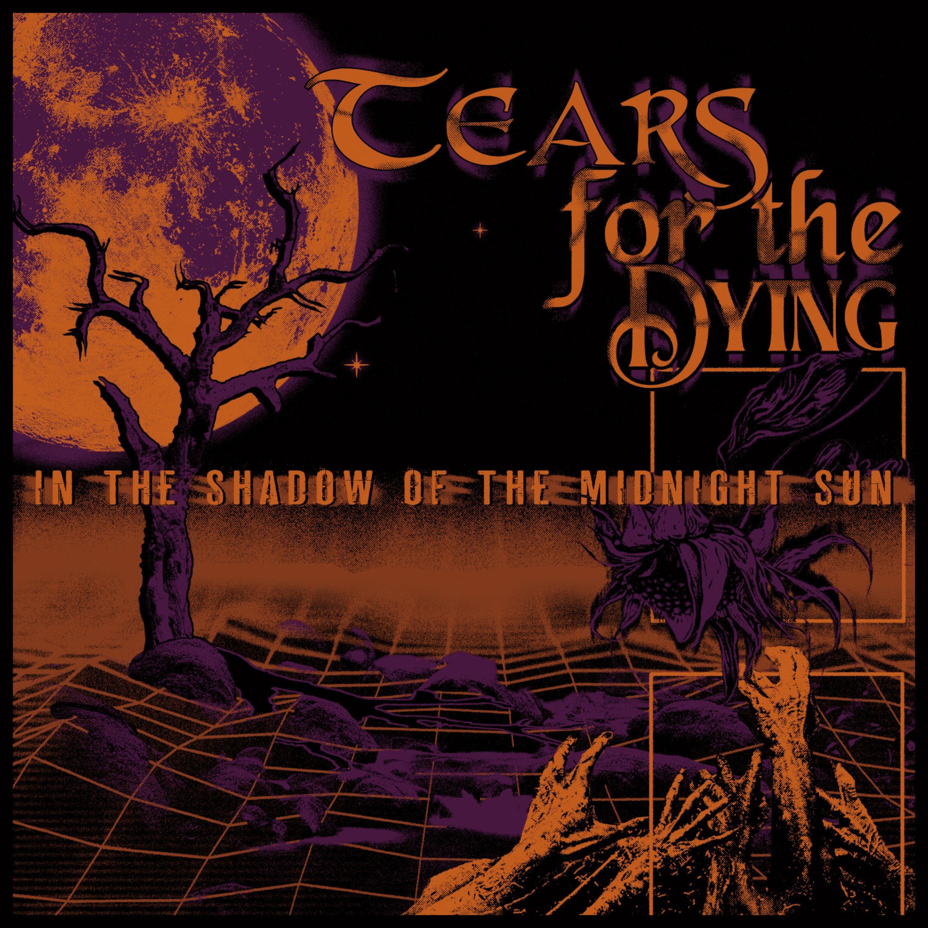 In the Shadow of the Midnight Sun album cover