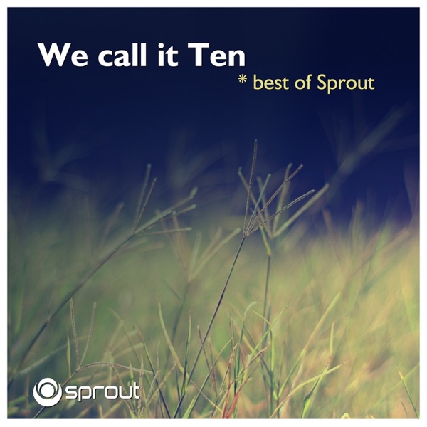 We Call It Ten album cover