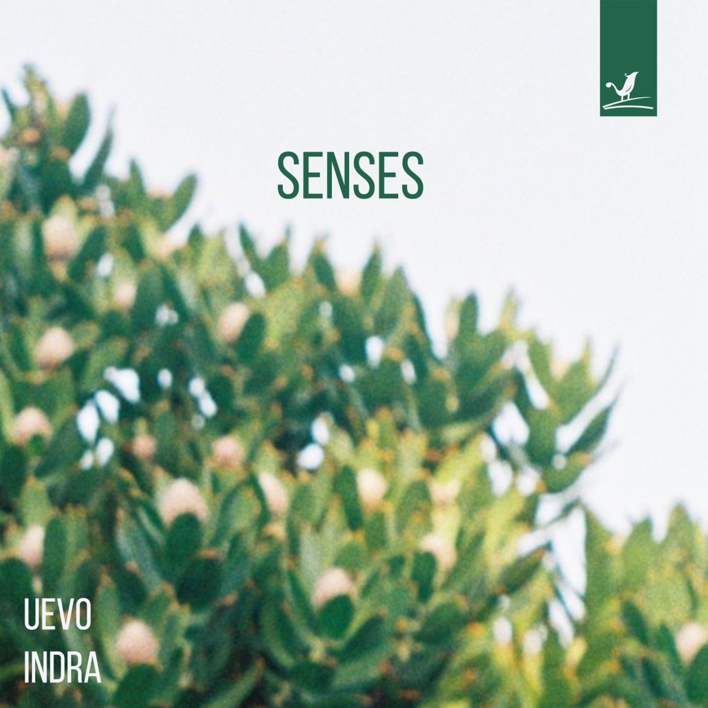 Senses - Single album cover