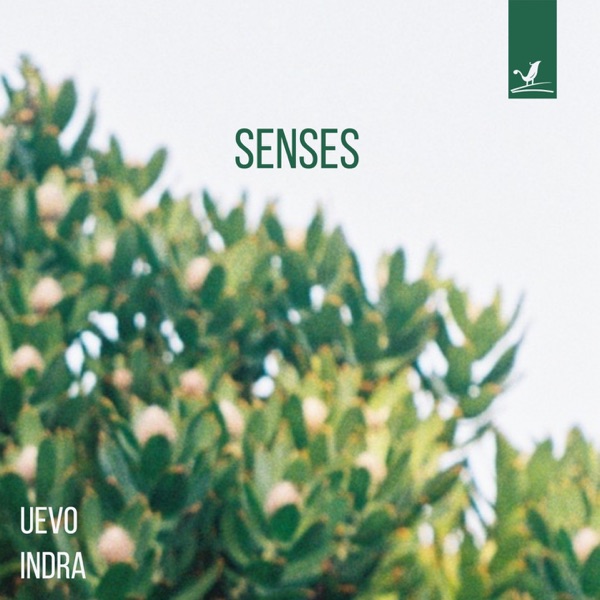 Senses - Single album cover