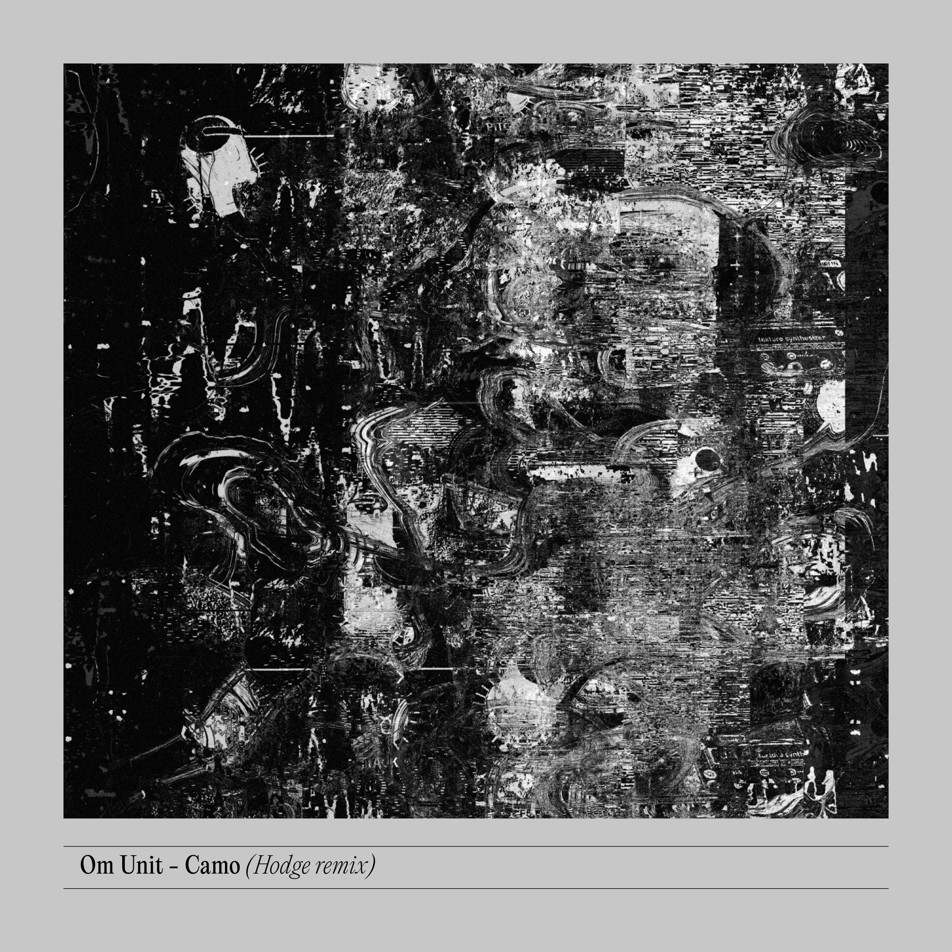 Camo (Hodge Remix) - Single album cover