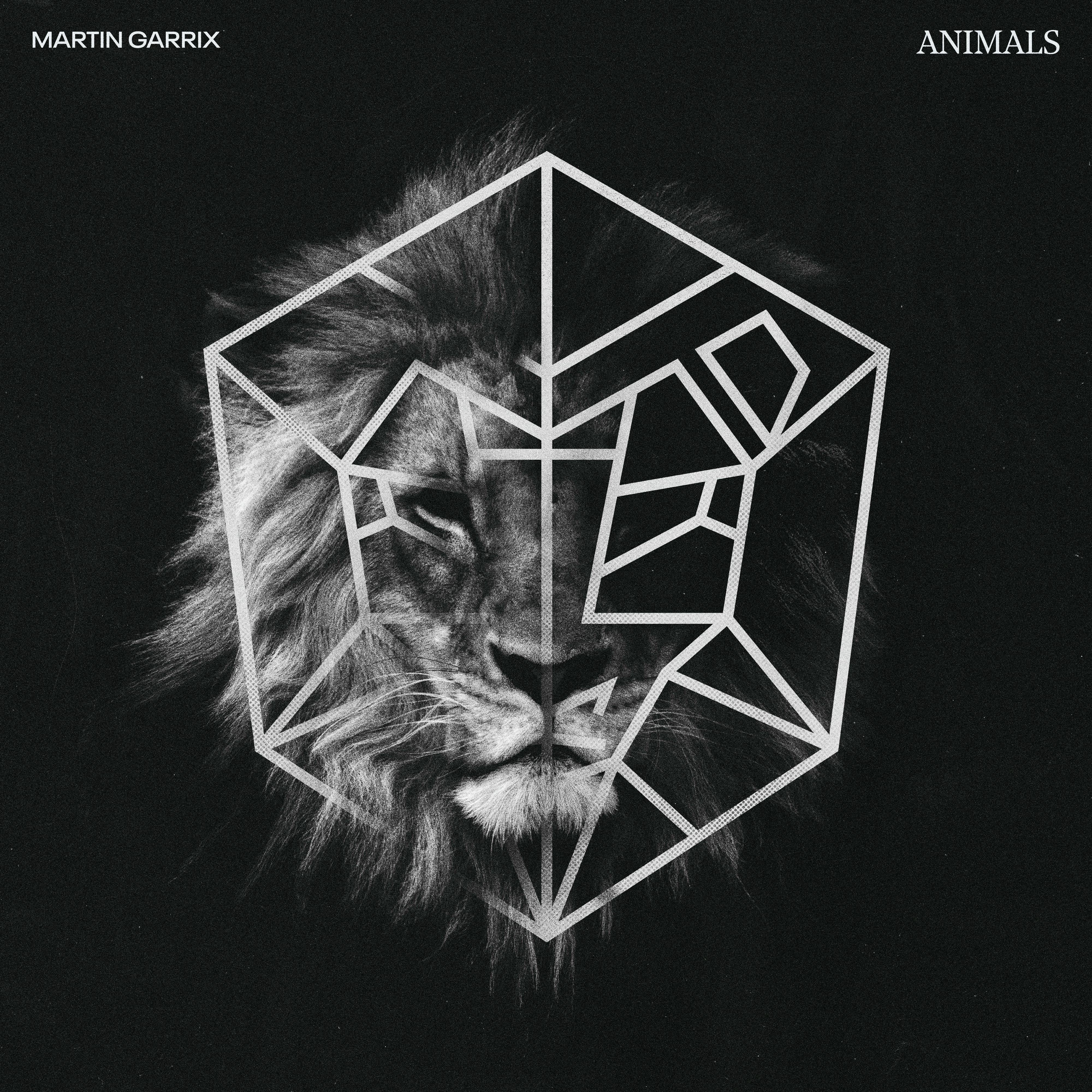 Animals - Single album cover