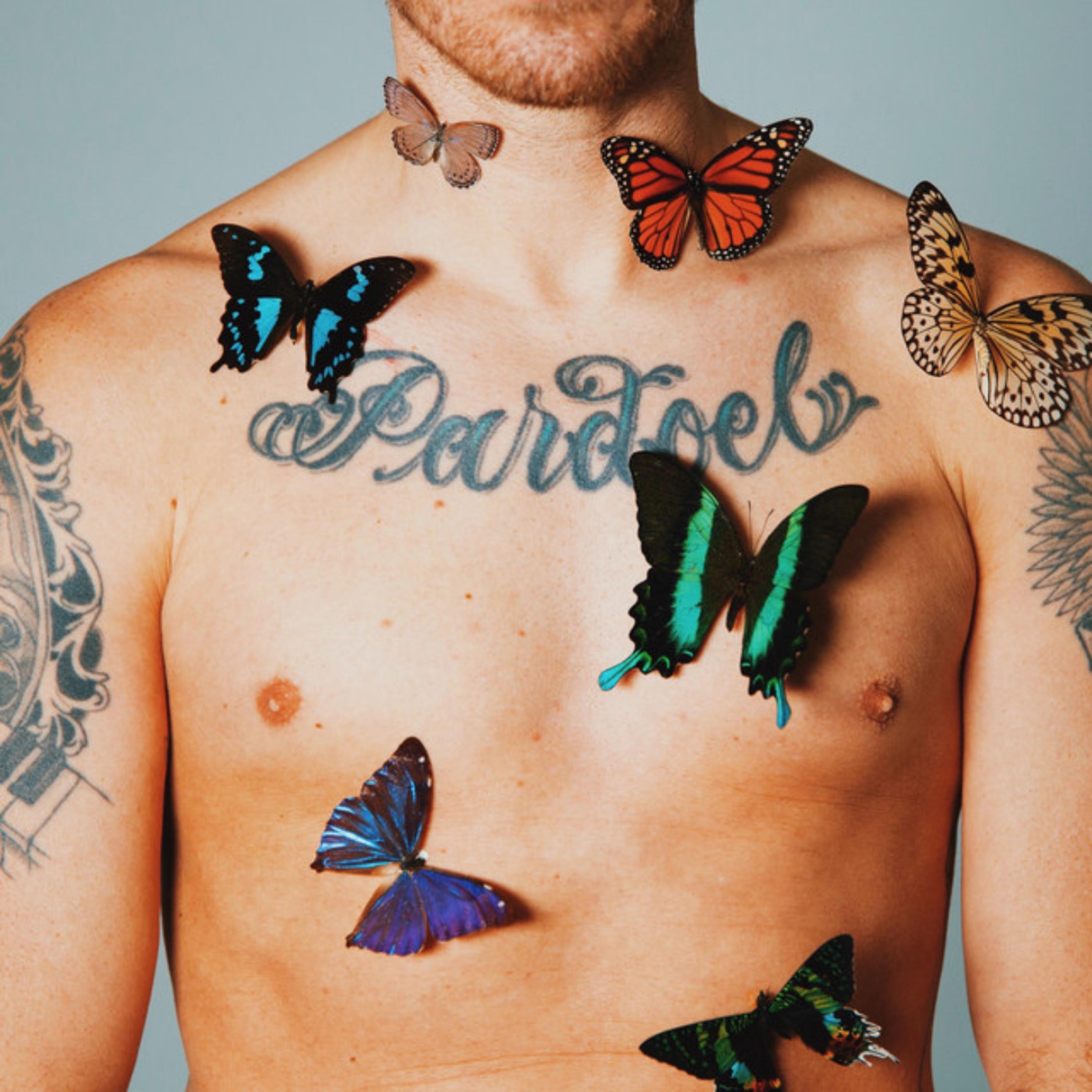 Vlinders - Single album cover