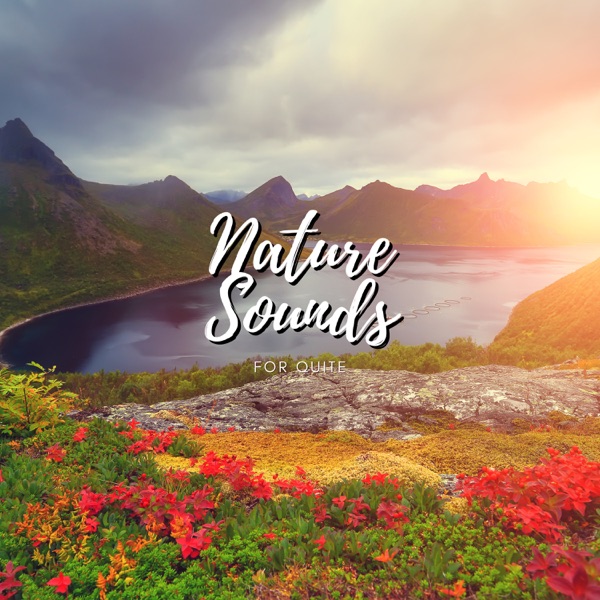 Nature Sounds For Quite album cover